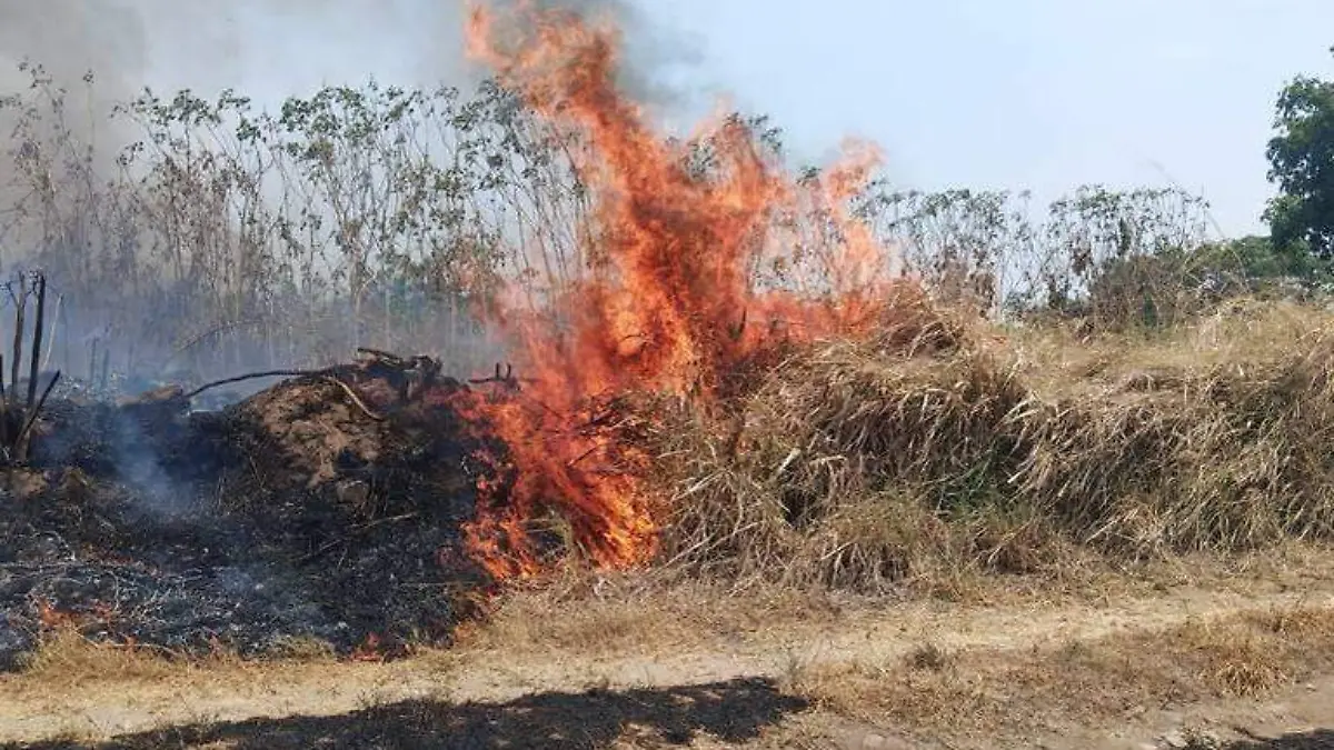 pasto seco quemándose